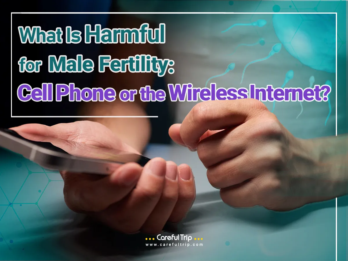 What Is Harmful for Male Fertility: Cell Phone or the Wireless Internet?