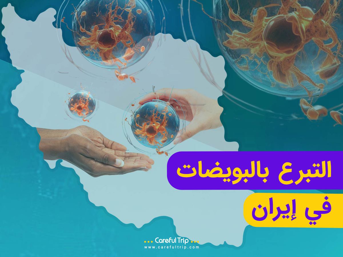 التبرع بالبويضات في إيران