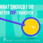 What should I do after the IVF transfer?