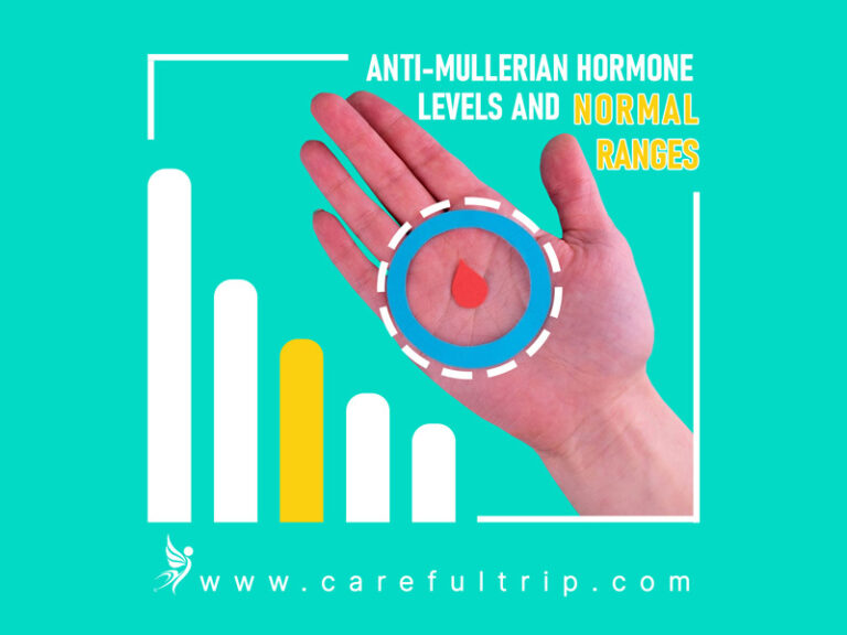 Anti-Mullerian Hormone Levels and normal ranges - CarefulTrip