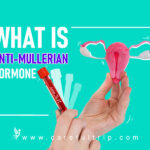 What Is Anti-Mullerian Hormone?