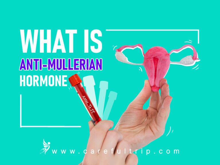 What Is AntiMullerian Hormone? CarefulTrip