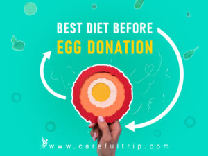 Best diet before the egg donation