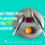 What Foods Help Implantation After IVF Transfer?