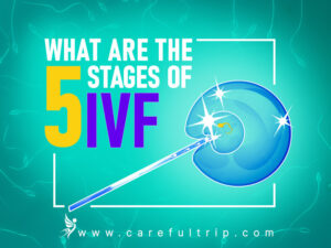 What are the 5 stages of IVF?