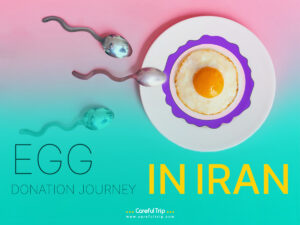 Egg Donation Journey in Iran