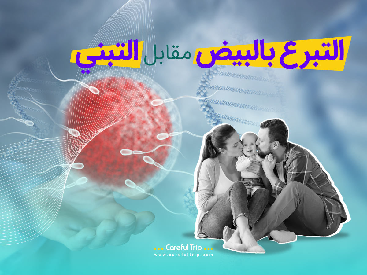 التبرع بالبيض مقابل التبني
