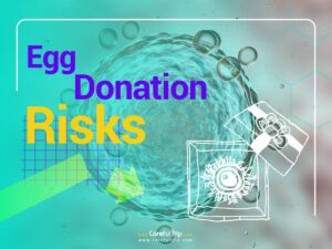 Egg Donation Risks