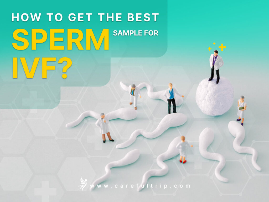 How To Get the Best Sperm Sample For IVF