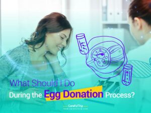 What Should I Do During the Egg Donation Process?