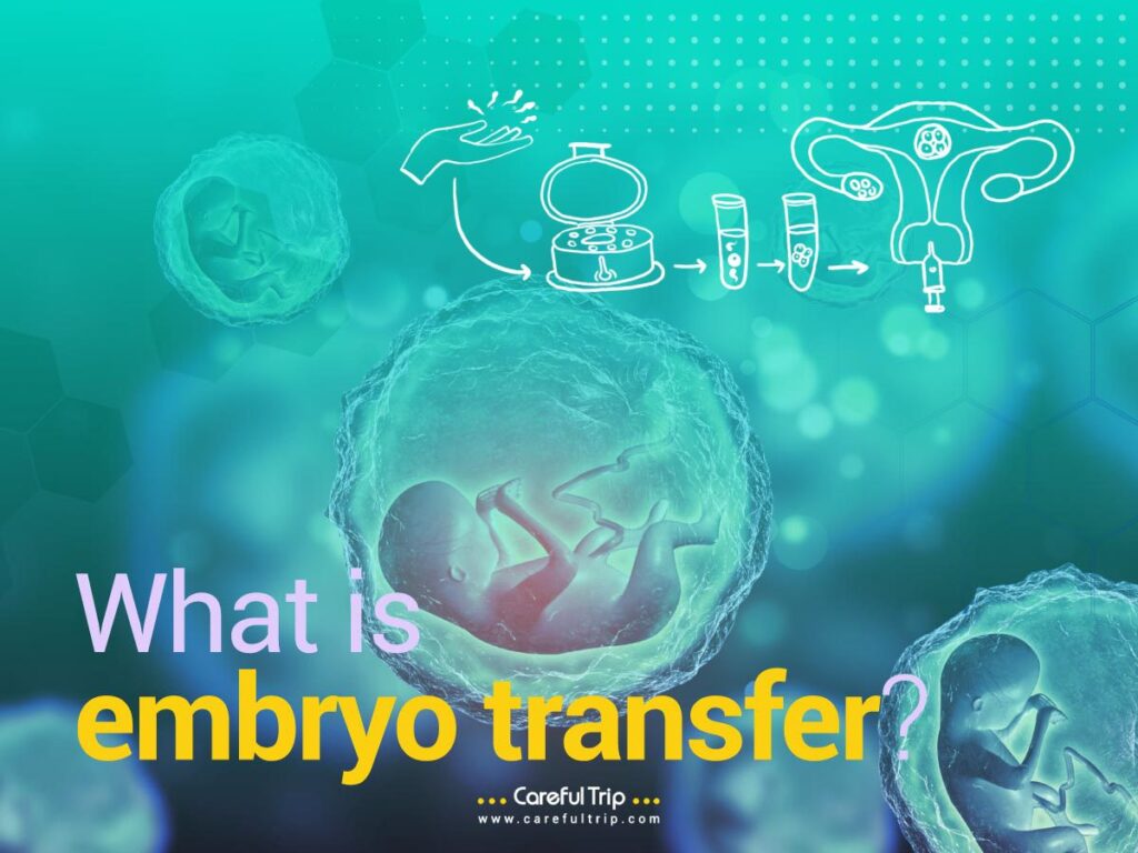 trip embryo transfer