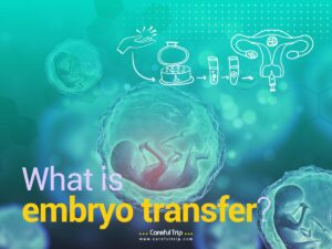 What is embryo transfer?