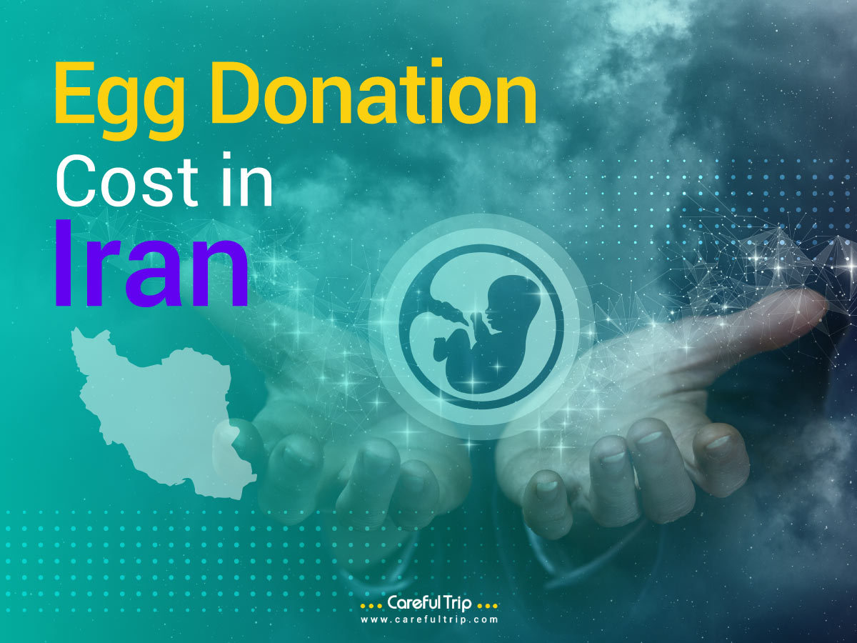 Egg Donation Cost in Iran