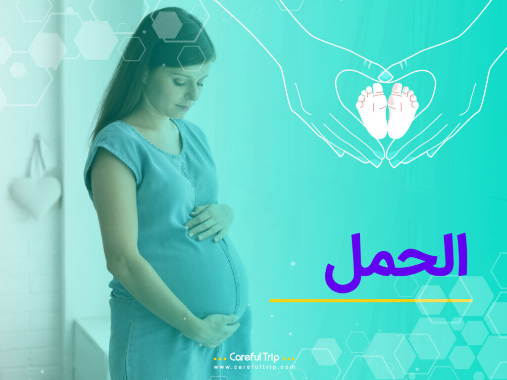 جميع الاشياء التي يجب عليكم معرفتها حول الحمل