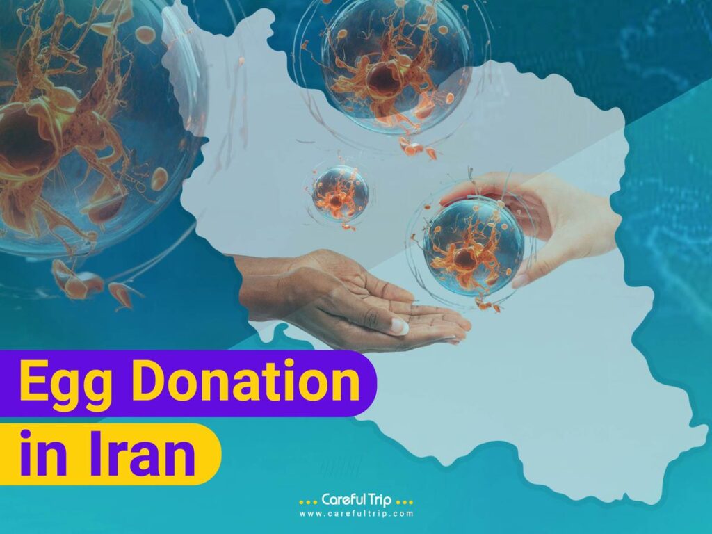 Egg Donation in Iran
