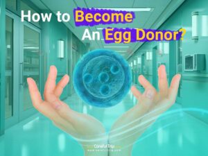 How to Become an Egg Donor?