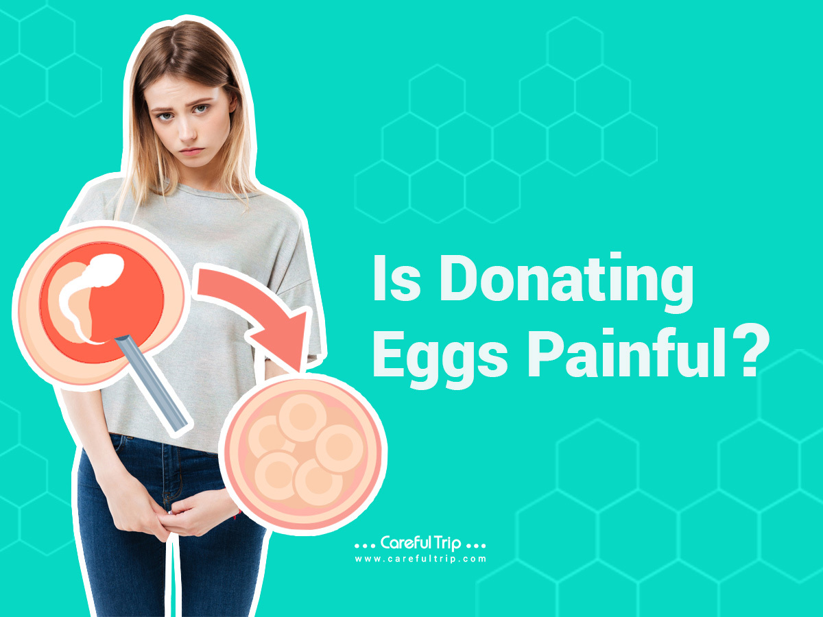 Is Donating Eggs Painful?