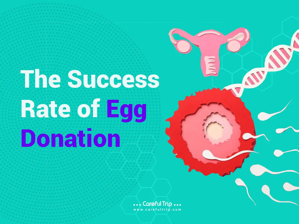 The Success Rate of Egg Donation