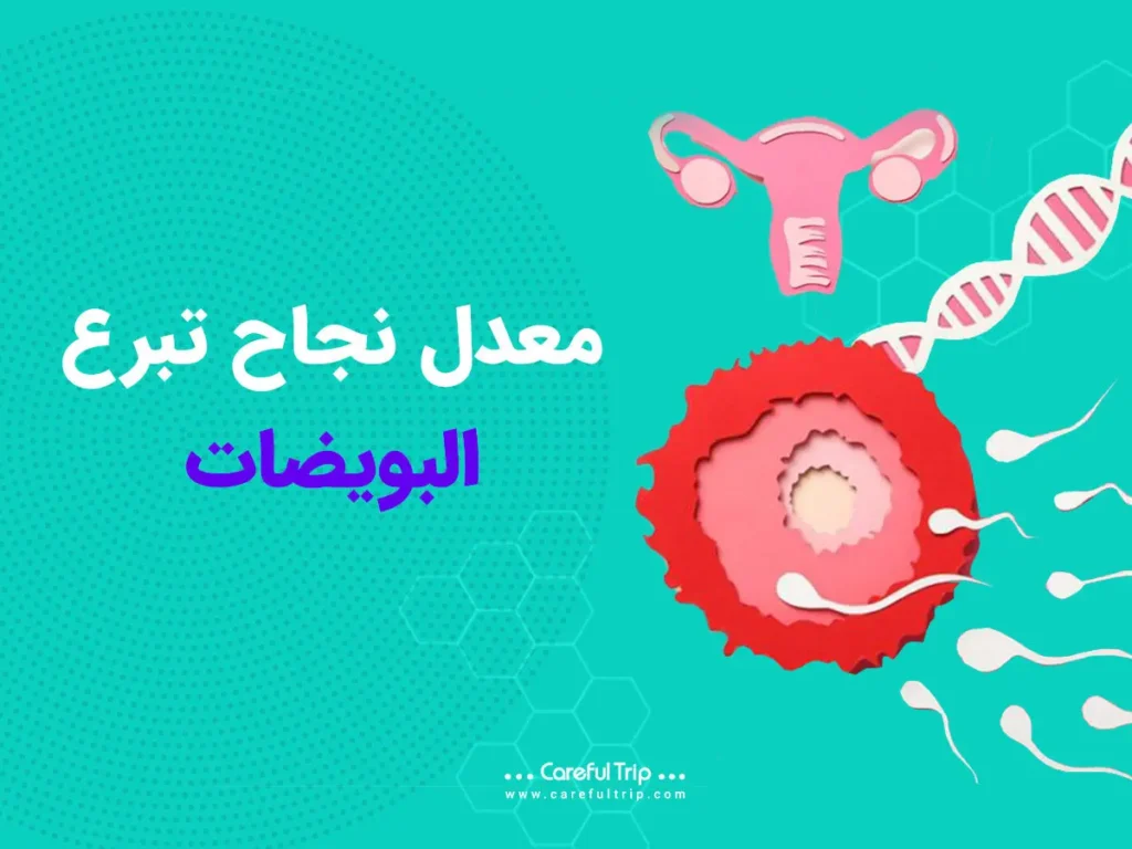 نسبة نجاح تبرع البويضات