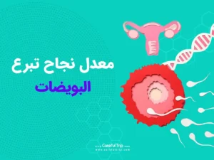 نسبة نجاح تبرع البويضات