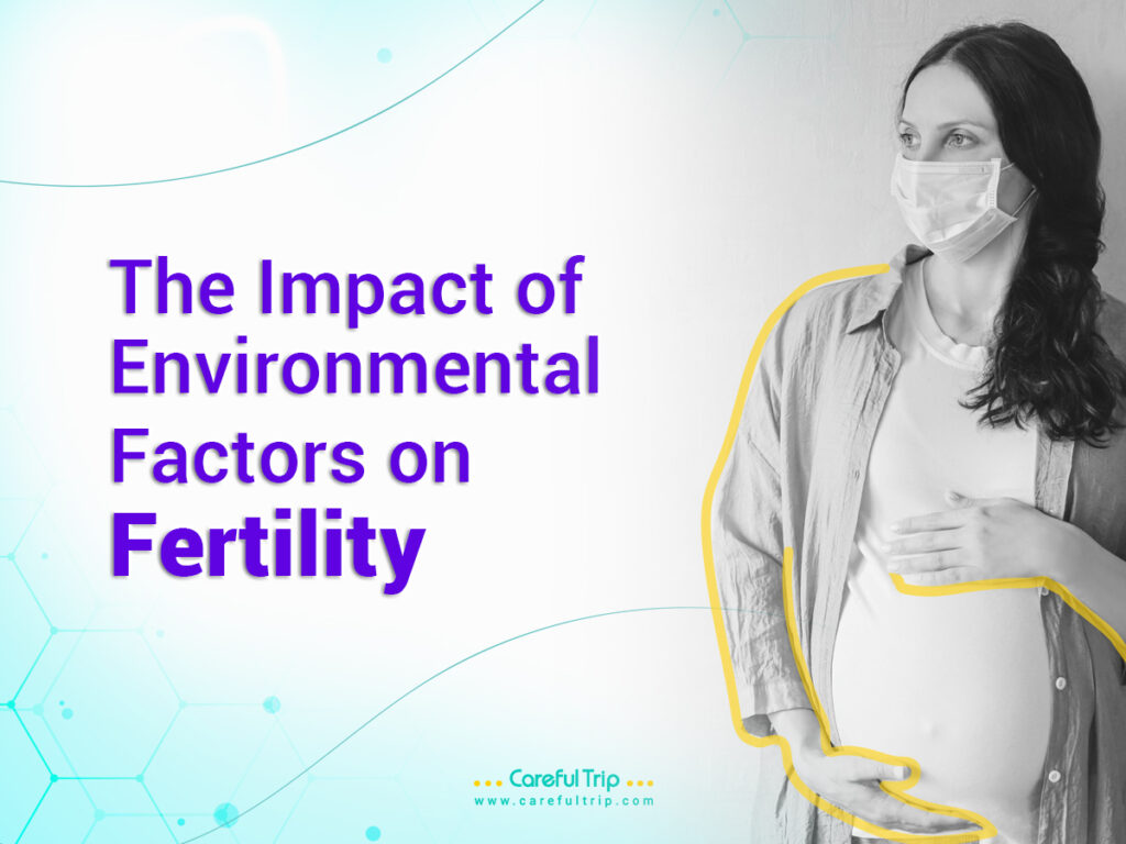 The Impact of Environmental Factors on Fertility