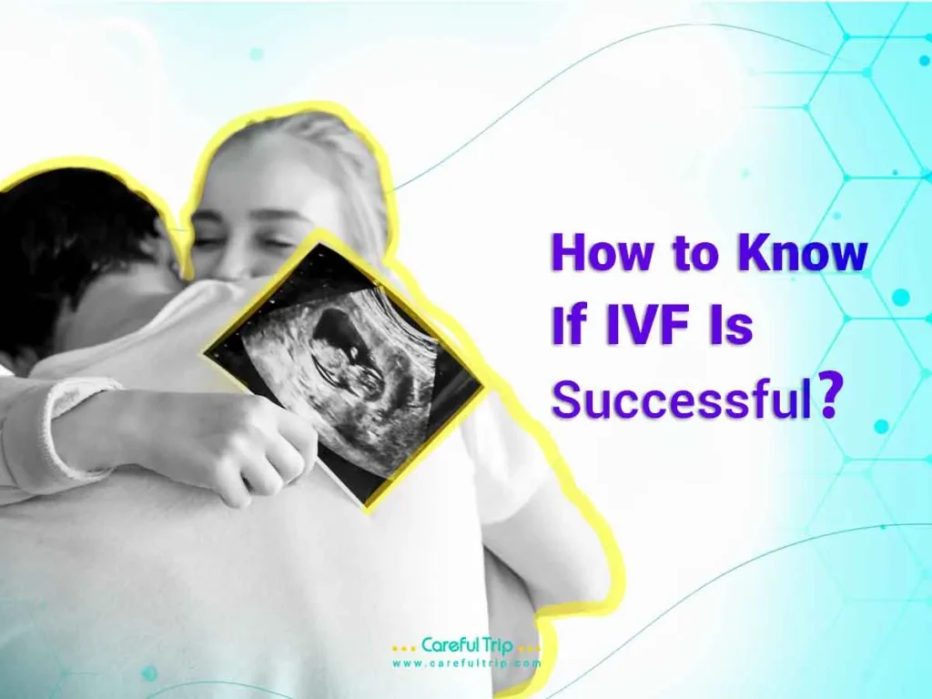 IVF Success Rates in Iran