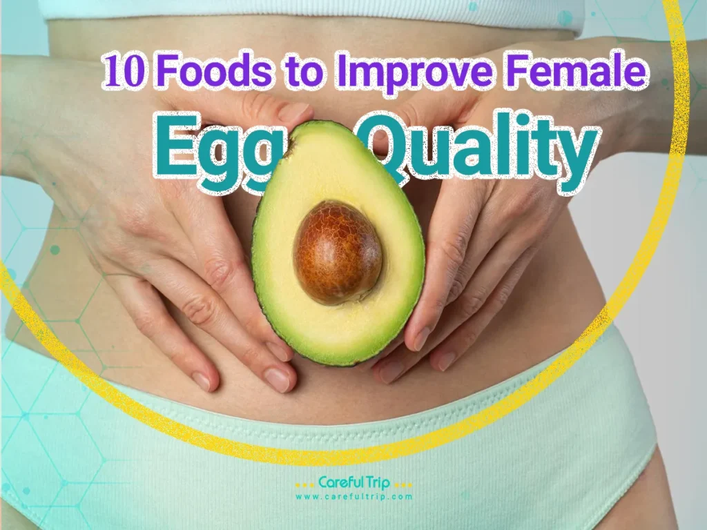 10 Foods to Improve Female Egg Quality