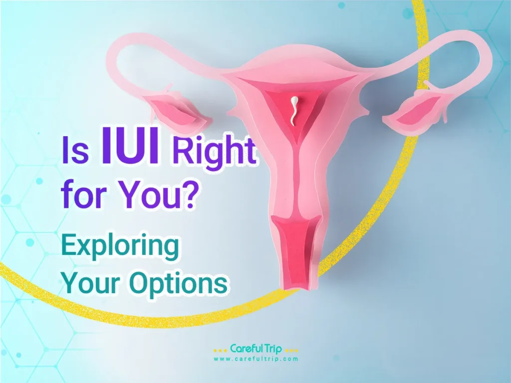 Is IUI Right for You? Exploring Your Options