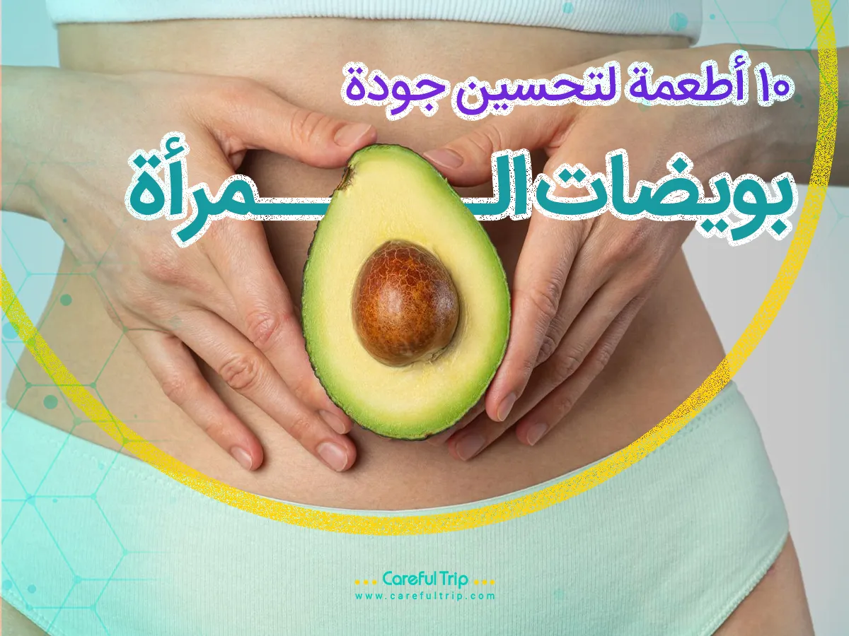 أطعمة لتحسين جودة البويضات