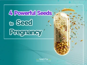 Seeds to Seed Pregnancy
