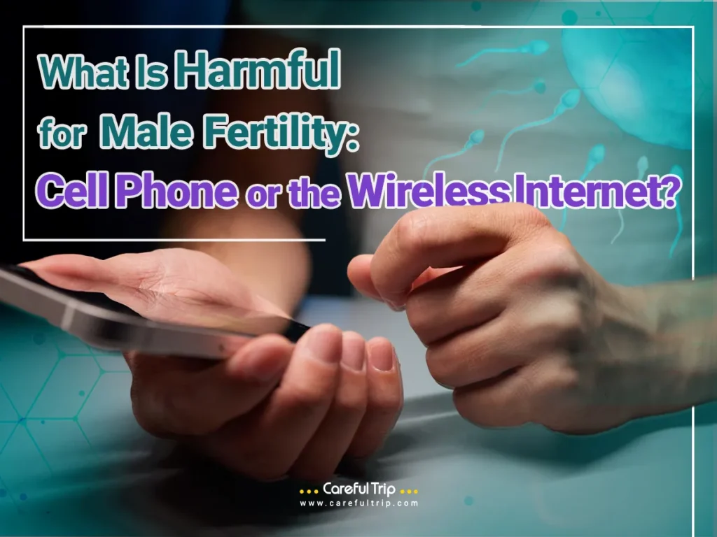 What-Is-Harmful-for-Male-Fertility-Cell-Phone-or-the-Wireless-Internet_11zon